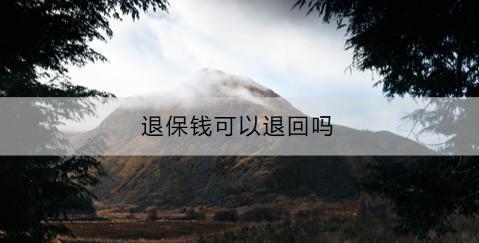 退保錢可以退回嗎？退保流程是什么？