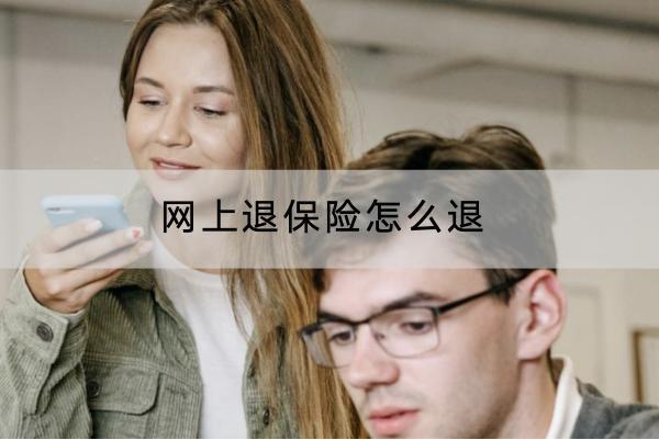 網(wǎng)上退保險(xiǎn)怎么退