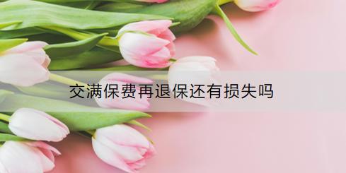 交滿保費(fèi)再退保還有損失嗎？退保流程是什么？