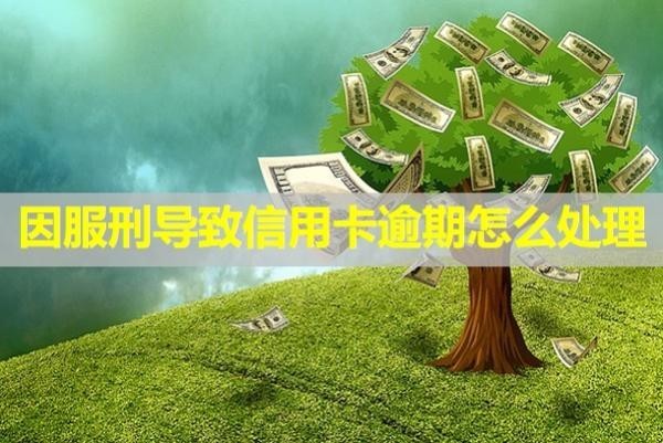 因服刑導(dǎo)致信用卡逾期怎么處理？