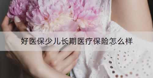 好醫(yī)保少兒長期醫(yī)療保險怎么樣？如何購買？