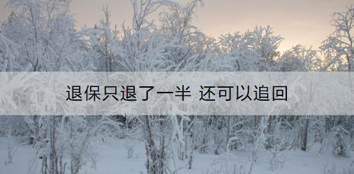 退保只退了一半 還可以追回