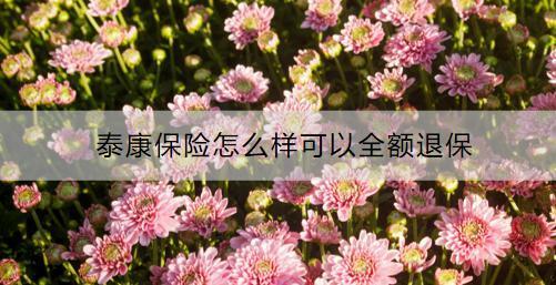 泰康保險怎么樣可以全額退保？全額退保要準(zhǔn)備什么？