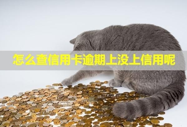 怎么查信用卡逾期上沒上信用呢？記錄多久能消除？