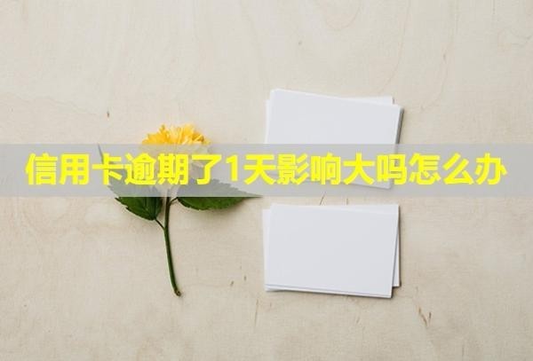 信用卡逾期了1天影響大嗎怎么辦？
