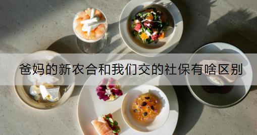 爸媽的新農(nóng)合和我們交的社保有啥區(qū)別？和商業(yè)保險(xiǎn)沖突嗎？