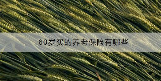 60歲買的養(yǎng)老保險有哪些？怎么買？