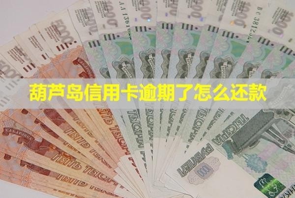 葫蘆島信用卡逾期了怎么還款