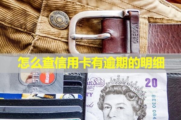 怎么查信用卡有逾期的明細(xì)？上門核實(shí)是真的嗎？