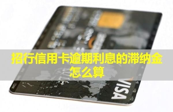 招行信用卡逾期利息的滯納金怎么算？多久起訴？