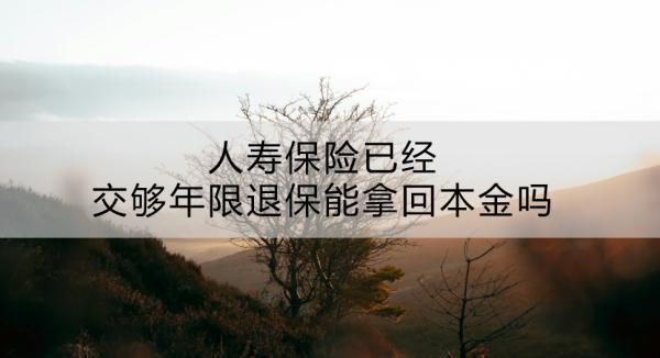 人壽保險已經(jīng)交夠年限退保能拿回本金嗎？有什么途徑？