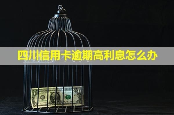 四川信用卡逾期高利息怎么辦？會怎么樣？
