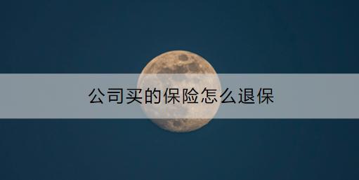 公司買的保險(xiǎn)怎么退保？商業(yè)保險(xiǎn)怎么退？