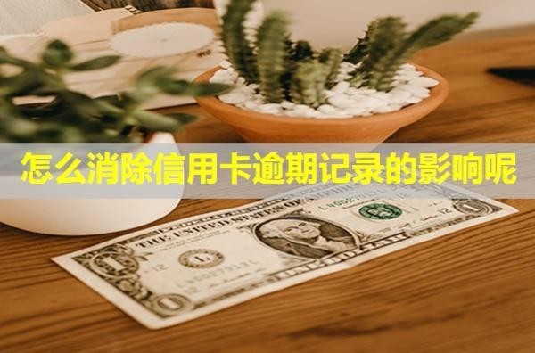 怎么消除信用卡逾期記錄的影響呢