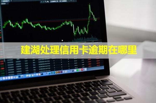 建湖處理信用卡逾期在哪里？多久會上失信名單？