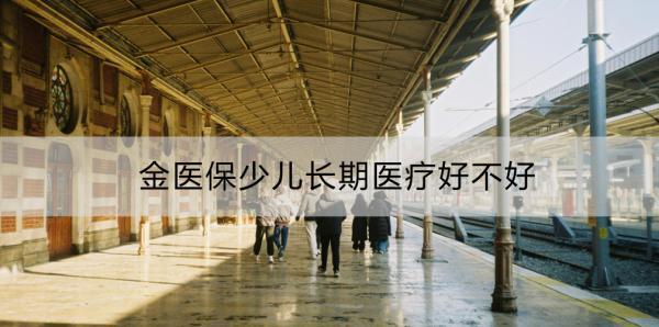 金醫(yī)保少兒長期醫(yī)療好不好？有什么缺點？