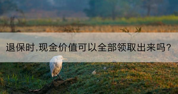 退保時(shí)，現(xiàn)金價(jià)值可以全部領(lǐng)取出來嗎?現(xiàn)金價(jià)值表怎么看？