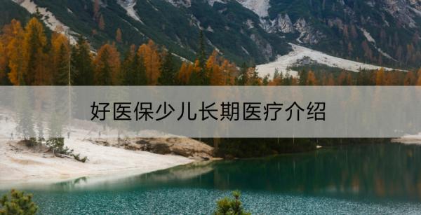 好醫(yī)保少兒長(zhǎng)期醫(yī)療介紹？值得買嗎？