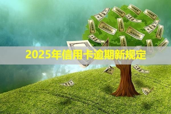 2025年信用卡逾期新規(guī)定！
