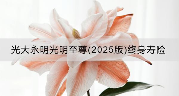 光大永明光明至尊(2025版)終身壽險投保規(guī)則是什么？產(chǎn)品怎么樣？