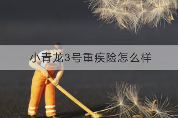 小青龍3號(hào)重疾險(xiǎn)怎么樣？有哪些保障？
