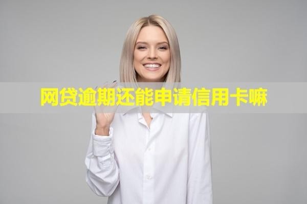 網(wǎng)貸逾期還能申請(qǐng)信用卡嘛？怎么申請(qǐng)停息掛賬？