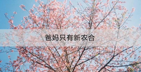 爸媽只有新農(nóng)合夠嗎？還需要購(gòu)買(mǎi)什么保險(xiǎn)？