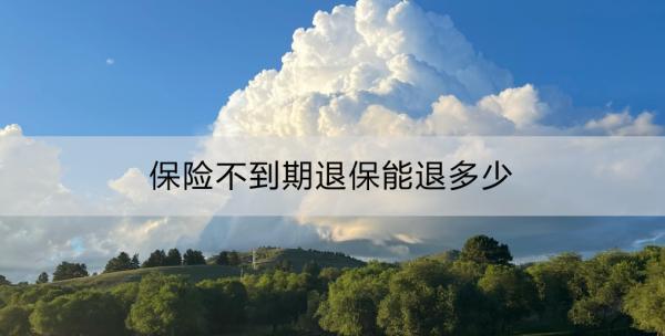 保險不到期退保能退多少？怎么退？