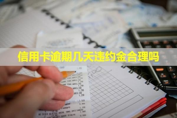 信用卡逾期幾天違約金合理嗎？還進去能刷出來嗎？
