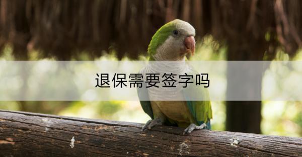 退保需要簽字嗎？退保流程是什么？
