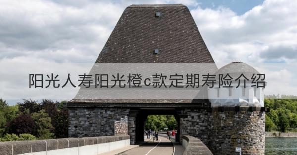陽光人壽陽光橙c款定期壽險介紹？看這篇就夠了！