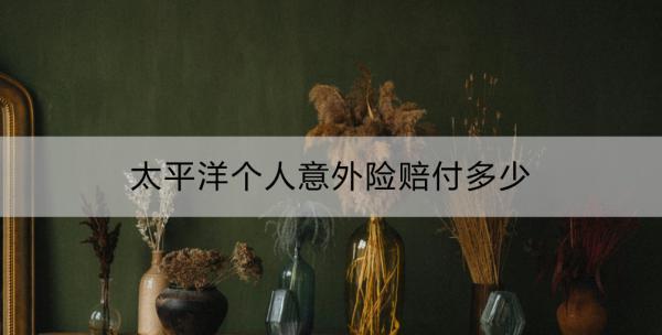 太平洋個人意外險賠付多少？理賠流程是什么？
