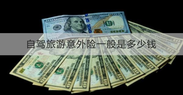 自駕旅游意外險一般是多少錢？怎么買？