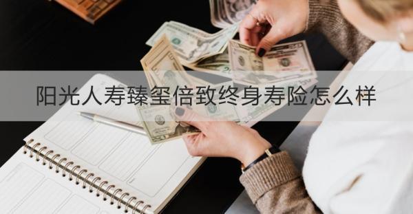 陽光人壽臻璽倍致終身壽險怎么樣？兩個方面為你解答
