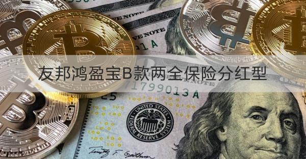 友邦鴻盈寶B款兩全保險分紅型詳細(xì)介紹，基本信息+保障+特色