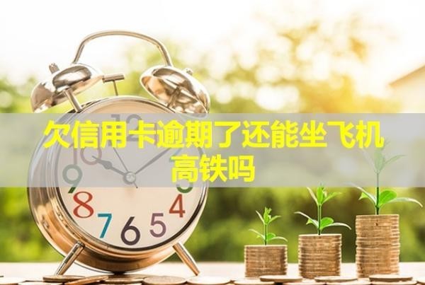 欠信用卡逾期了還能坐飛機高鐵嗎？可以只還本金不還利息嗎？