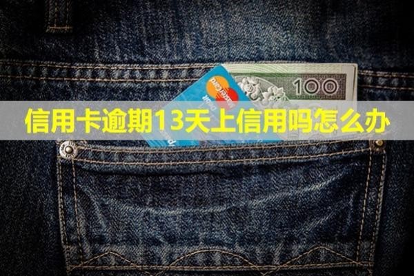 信用卡逾期13天上信用嗎怎么辦