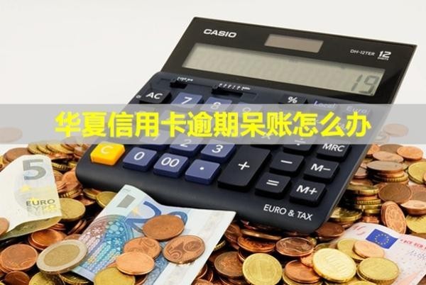 華夏信用卡逾期呆賬怎么辦？會怎么樣？