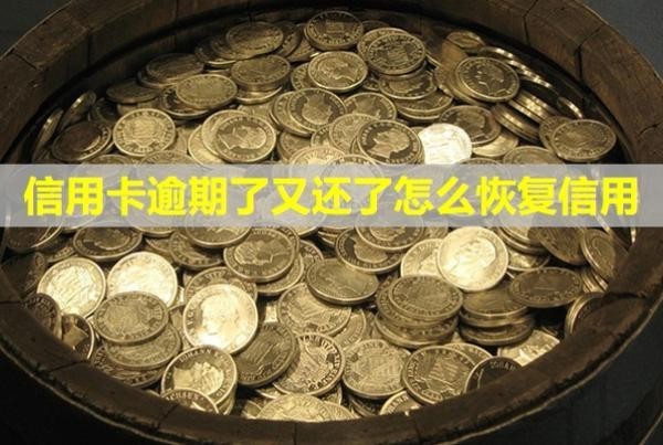 信用卡逾期了又還了怎么恢復(fù)信用