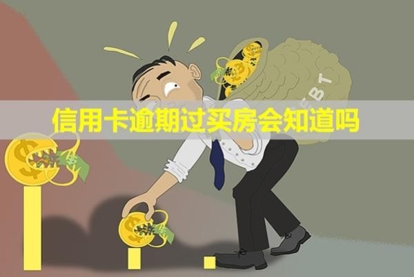 信用卡逾期過買房會(huì)知道嗎