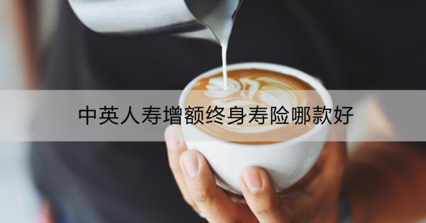 中英人壽增額終身壽險哪款好？這兩款還行~