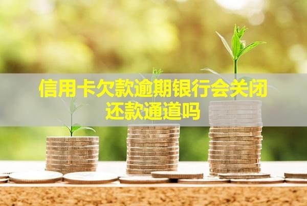 信用卡欠款逾期銀行會(huì)關(guān)閉還款通道嗎？會(huì)被起訴嗎？