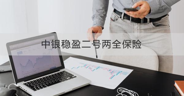 中銀穩(wěn)盈二號兩全保險(xiǎn)條款介紹，基本信息+產(chǎn)品保障