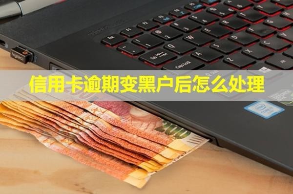 信用卡逾期變黑戶后怎么處理？利息可以全部減免嗎？