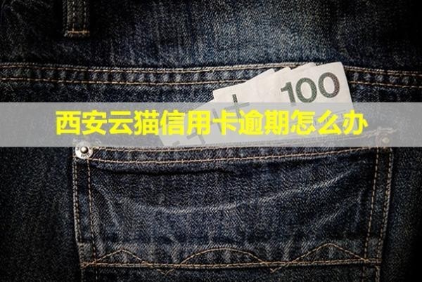 西安云貓信用卡逾期怎么辦？被起訴立案后怎么解決？