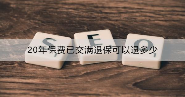 20年保費(fèi)已交滿,退?？梢酝硕嗌? title=