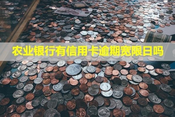農(nóng)業(yè)銀行有信用卡逾期寬限日嗎？還不上會(huì)怎么樣？