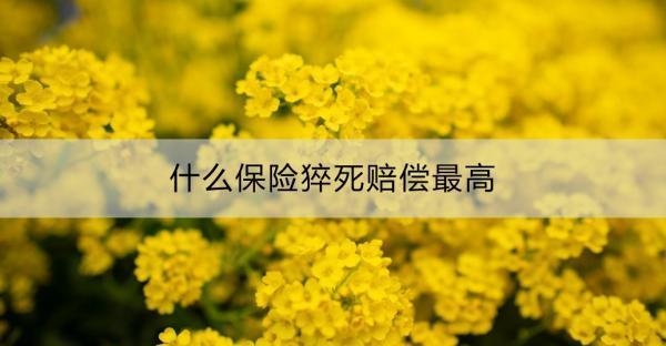 什么保險(xiǎn)猝死賠償最高？高猝死賠償?shù)囊馔怆U(xiǎn)產(chǎn)品推薦？