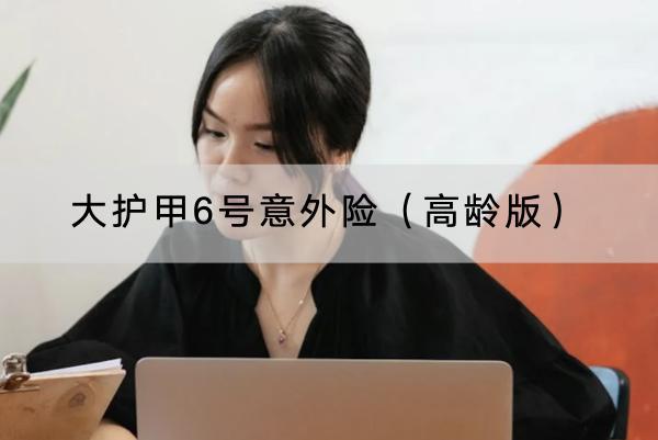大護甲6號意外險（高齡版）