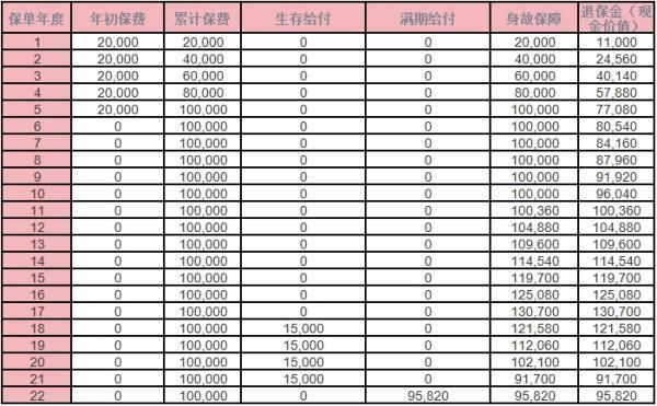 國壽卓越英才2.0少兒年金保險怎么樣？收益分析？
